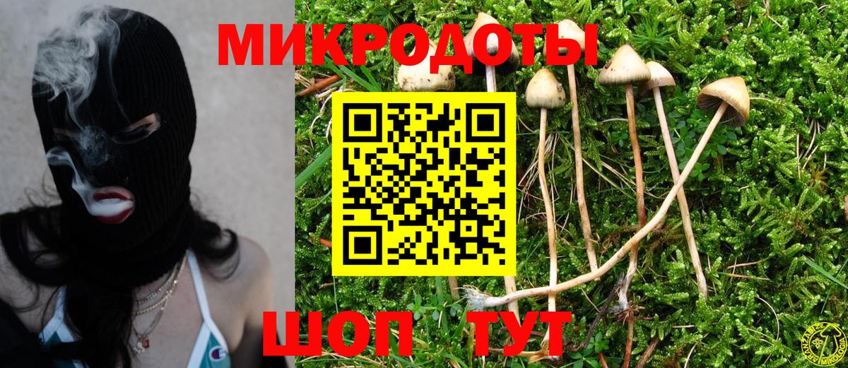Псилоцибиновые грибы ЛСД Кондопога