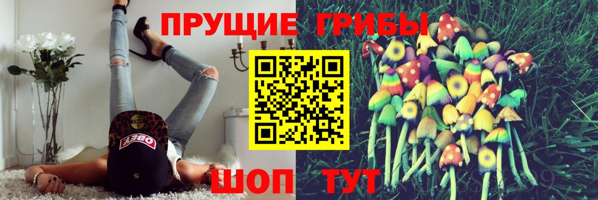 Псилоцибиновые грибы Magic Shrooms  Псилоцибиновые грибы Psilocybe  где продают наркотики  Вход с VPN  Кондопога 
